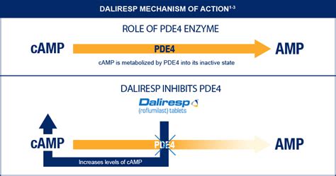 daliresp mechanism of action